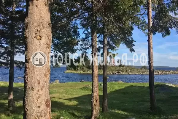 Отель «Cedar Grass Белое Море», Умба Отель «Cedar Grass Белое Море», Умба