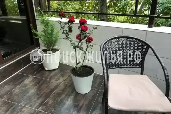 «Султан», Ольгинка