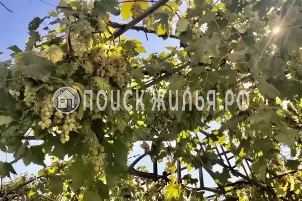 Частный сектор «Дом отдыха Виноградный», Сочи Частный сектор «Дом отдыха Виноградный», Сочи