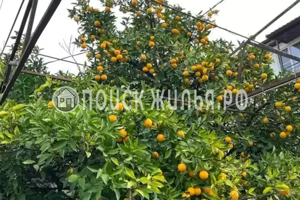 Гостевой дом «У моря», Цандрипш Гостевой дом «У моря», Цандрипш