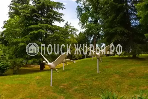 «На Севастопольском», Сочи