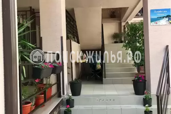 «Брауни», Ольгинка