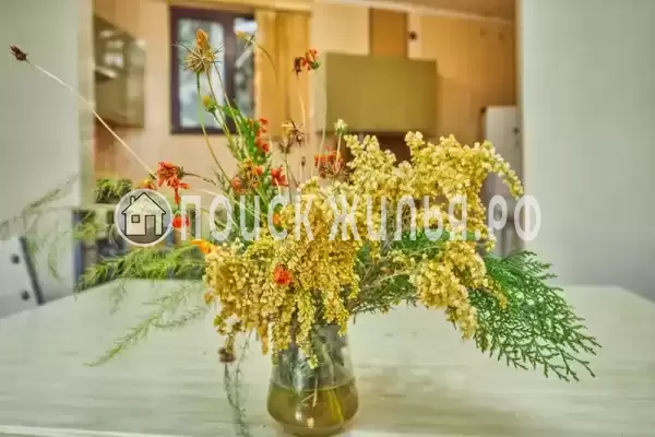 Отель «Ахимса», Сухум Отель «Ахимса», Сухум