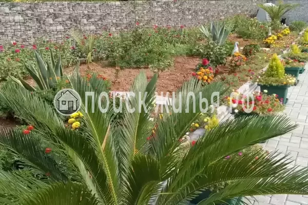 Гостевой дом «У Сюзанны», Цандрипш Гостевой дом «У Сюзанны», Цандрипш