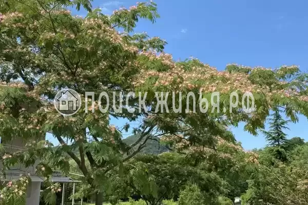 мкр. Незабудка-1, д.84А, Ольгинка