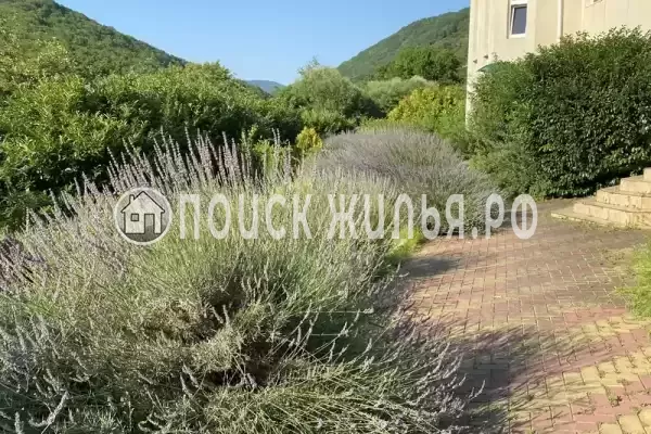 мкр. Незабудка-1, д.84А, Ольгинка