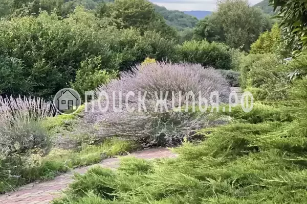 мкр. Незабудка-1, д.84А, Ольгинка