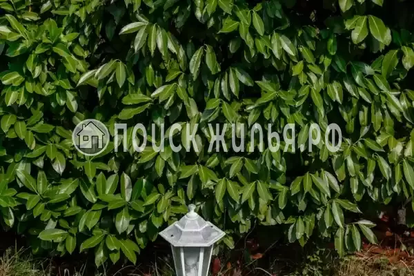 мкр. Незабудка-1, д.84А, Ольгинка