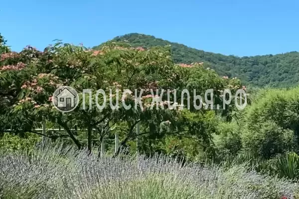 мкр. Незабудка-1, д.84А, Ольгинка