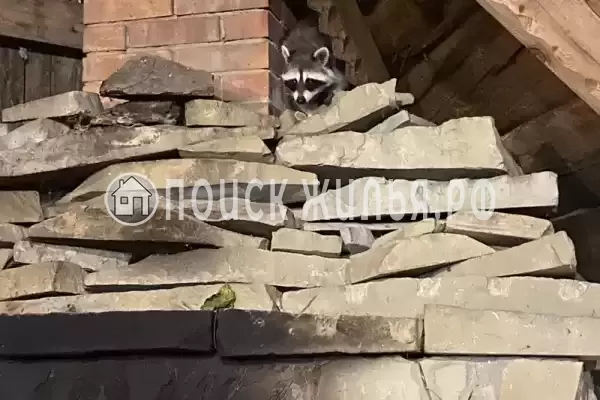 мкр. Незабудка-1, д.84А, Ольгинка