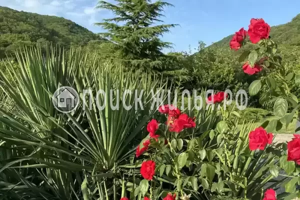 мкр. Незабудка-1, д.84А, Ольгинка