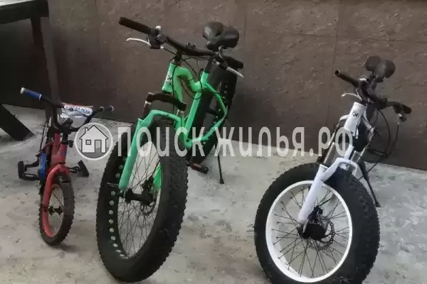 «Аида», Лоо