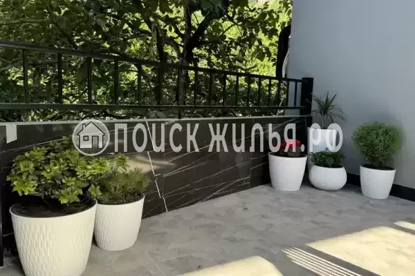 Гостевой дом, с. Хашупсэ, д.улХашупсинская, Цандрипш