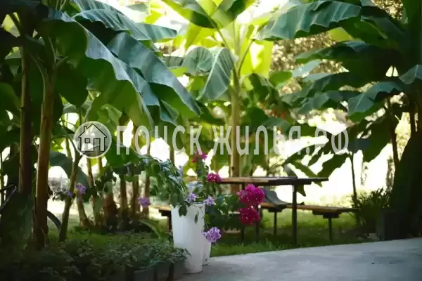 Гостевой дом, с. Хашупсэ, д.улХашупсинская, Цандрипш