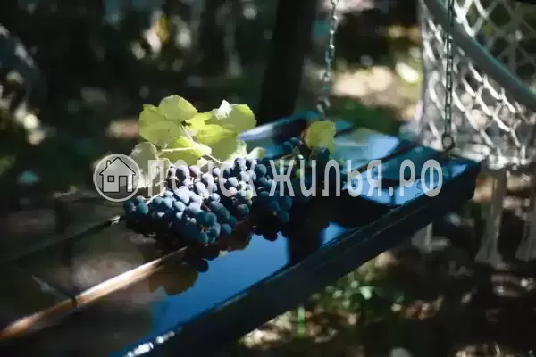 Гостевой дом, с. Хашупсэ, д.улХашупсинская, Цандрипш