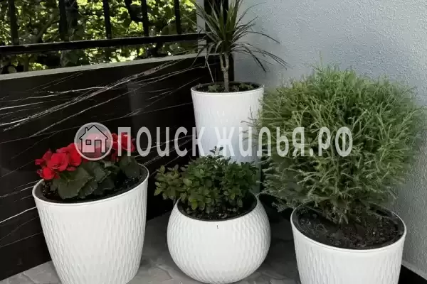 Гостевой дом, с. Хашупсэ, д.улХашупсинская, Цандрипш