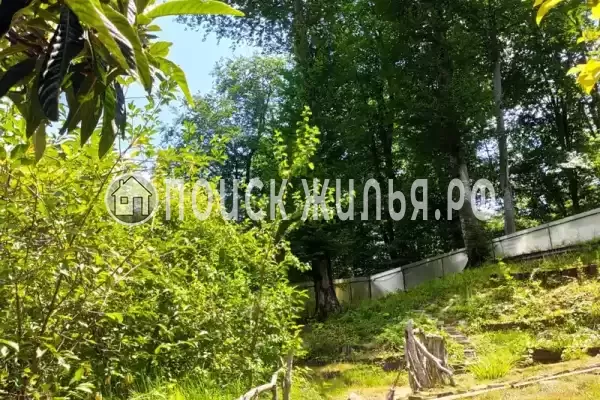 Частный сектор «Дом в национальном парке», Сочи