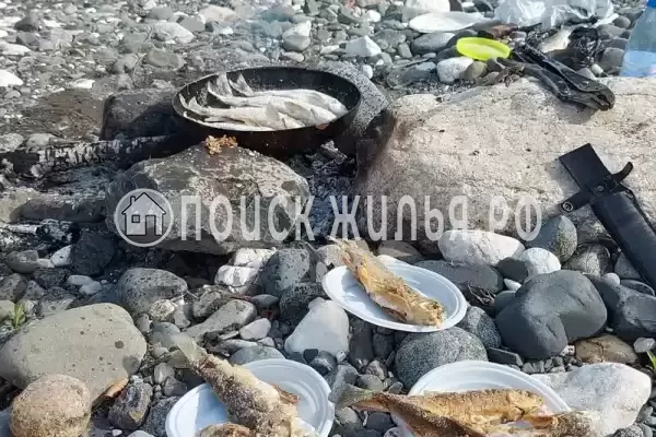 Гостиница, Чукбар 1 переок, д.14, Сухум