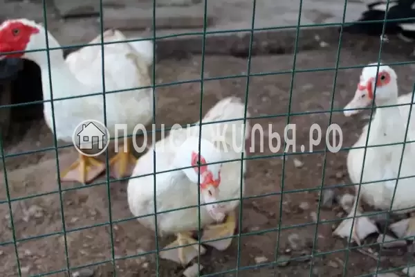 Отель «Ясенки», Ясенки