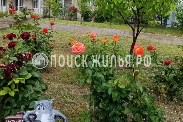 Частный сектор «Частный дом Fiesta», Коктебель Частный сектор «Частный дом Fiesta», Коктебель