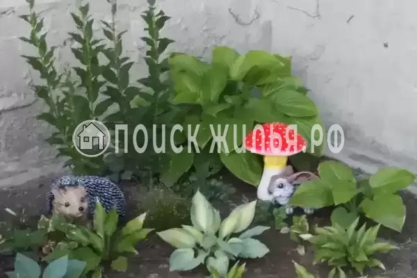 Частный сектор «Частный дом Fiesta», Коктебель Частный сектор «Частный дом Fiesta», Коктебель