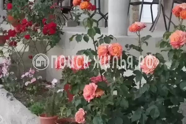 Частный сектор «Частный дом Fiesta», Коктебель Частный сектор «Частный дом Fiesta», Коктебель