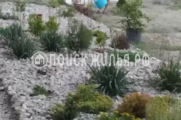 Частный сектор «Частный дом Fiesta», Коктебель Частный сектор «Частный дом Fiesta», Коктебель