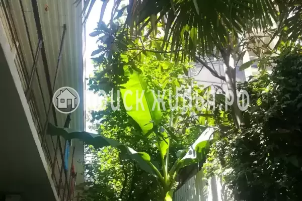 «У Натальи», Лазаревское «У Натальи», Лазаревское