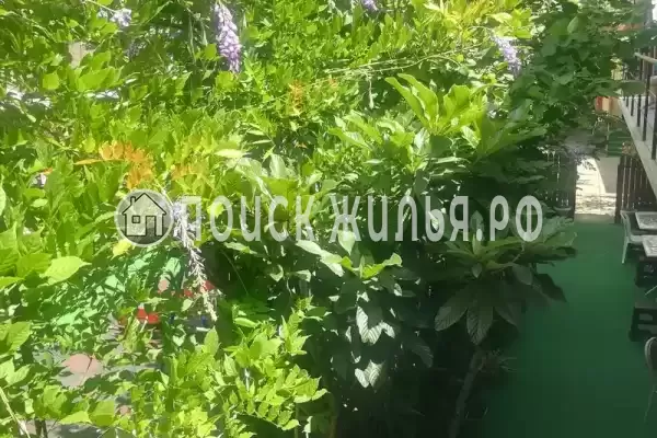 «У Натальи», Лазаревское «У Натальи», Лазаревское