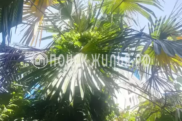 «У Натальи», Лазаревское «У Натальи», Лазаревское