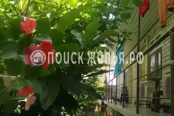 «У Натальи», Лазаревское «У Натальи», Лазаревское