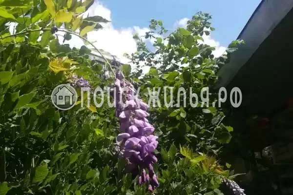 «У Натальи», Лазаревское «У Натальи», Лазаревское