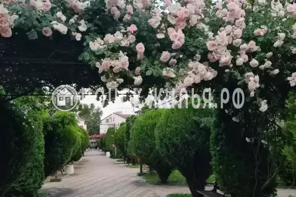 «На Пионерском», Джемете «На Пионерском», Джемете