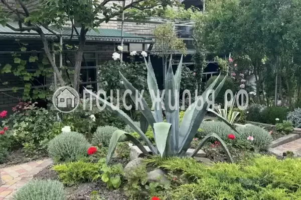 «На Вильямса», Геленджик