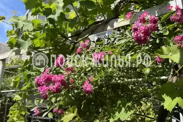 «На Вильямса», Геленджик