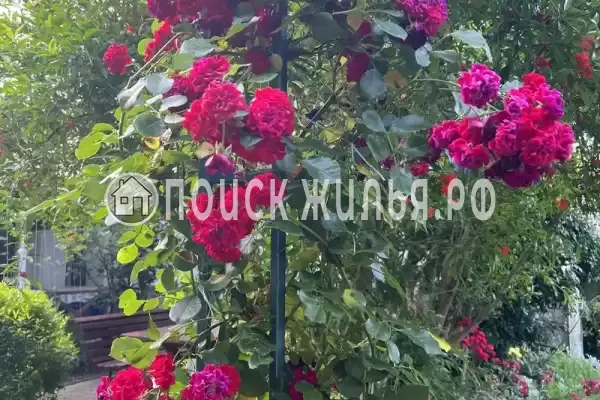 «На Вильямса», Геленджик