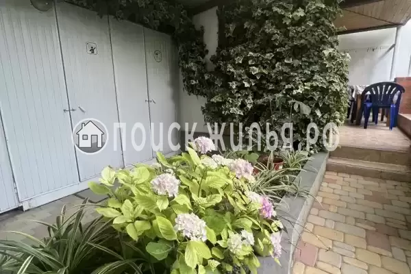 «На Вильямса», Геленджик