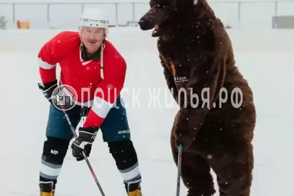 Отель «Медвежья гора», Чудская