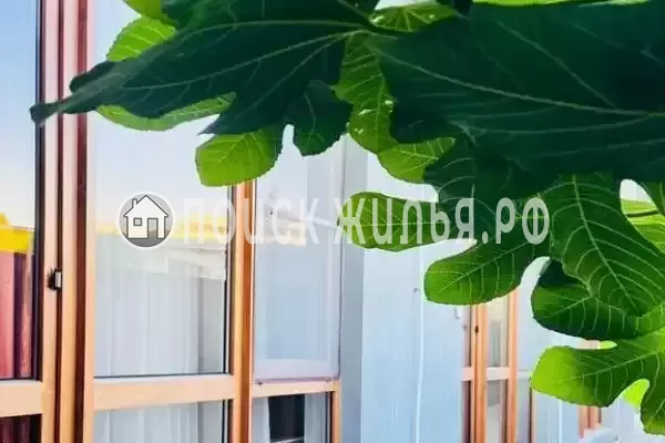 Гостиница «Luxor», Пицунда Гостиница «Luxor», Пицунда