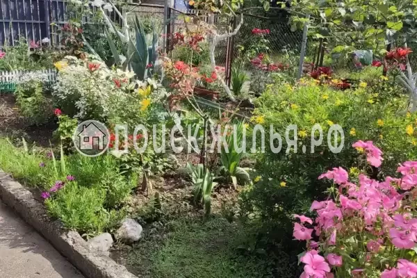 Гостевой дом «Ева», Гагра Гостевой дом «Ева», Гагра