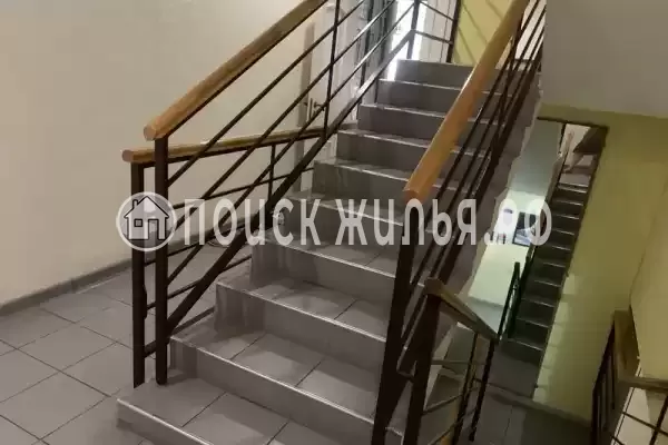 «Маро», Адлер