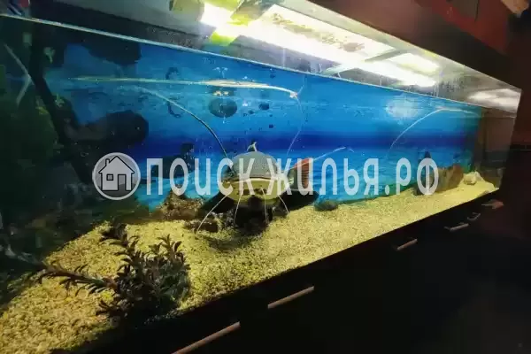 «Семья», Анапа