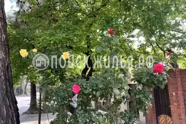 «Галина», Краснодарский край, Анапа, Самбурова, д.238А