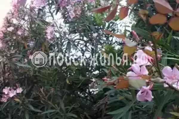 «EdMan», Лоо «EdMan», Лоо