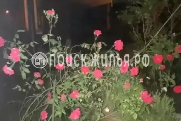 «EdMan», Лоо «EdMan», Лоо