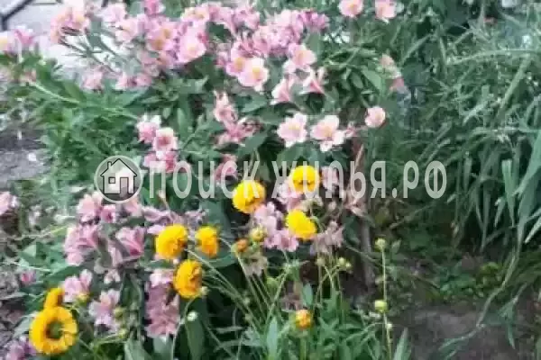 «EdMan», Лоо «EdMan», Лоо