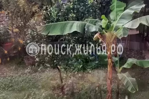 Гостевой дом «Цандрипш», Цандрипш