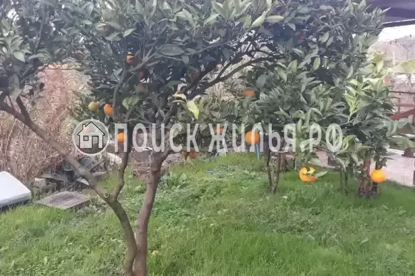 Гостевой дом «Цандрипш», Цандрипш