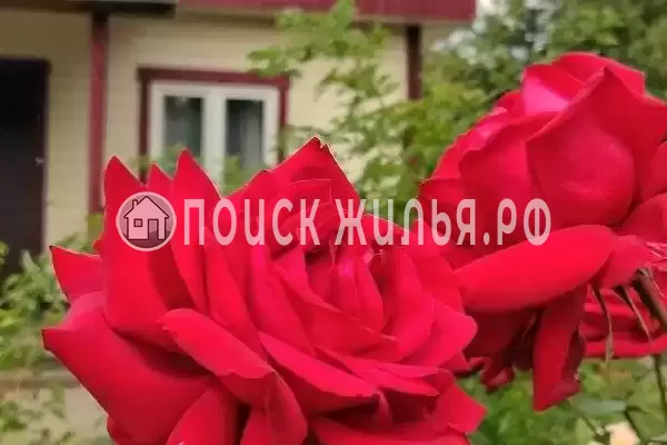 Отель «Кантри», Сестрорецк Отель «Кантри», Сестрорецк