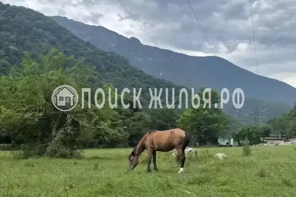 Гостевой дом «В уютном месте», Гагра